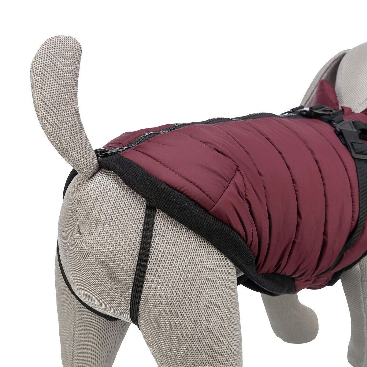 Trixie Pirou coat with harness, sangria