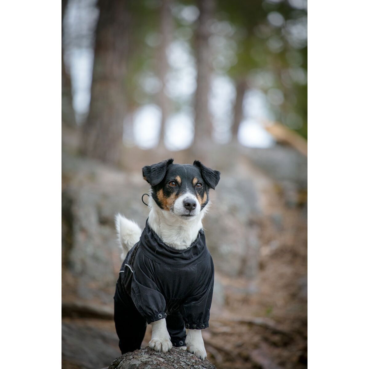 Feel Active Nimble haalari musta