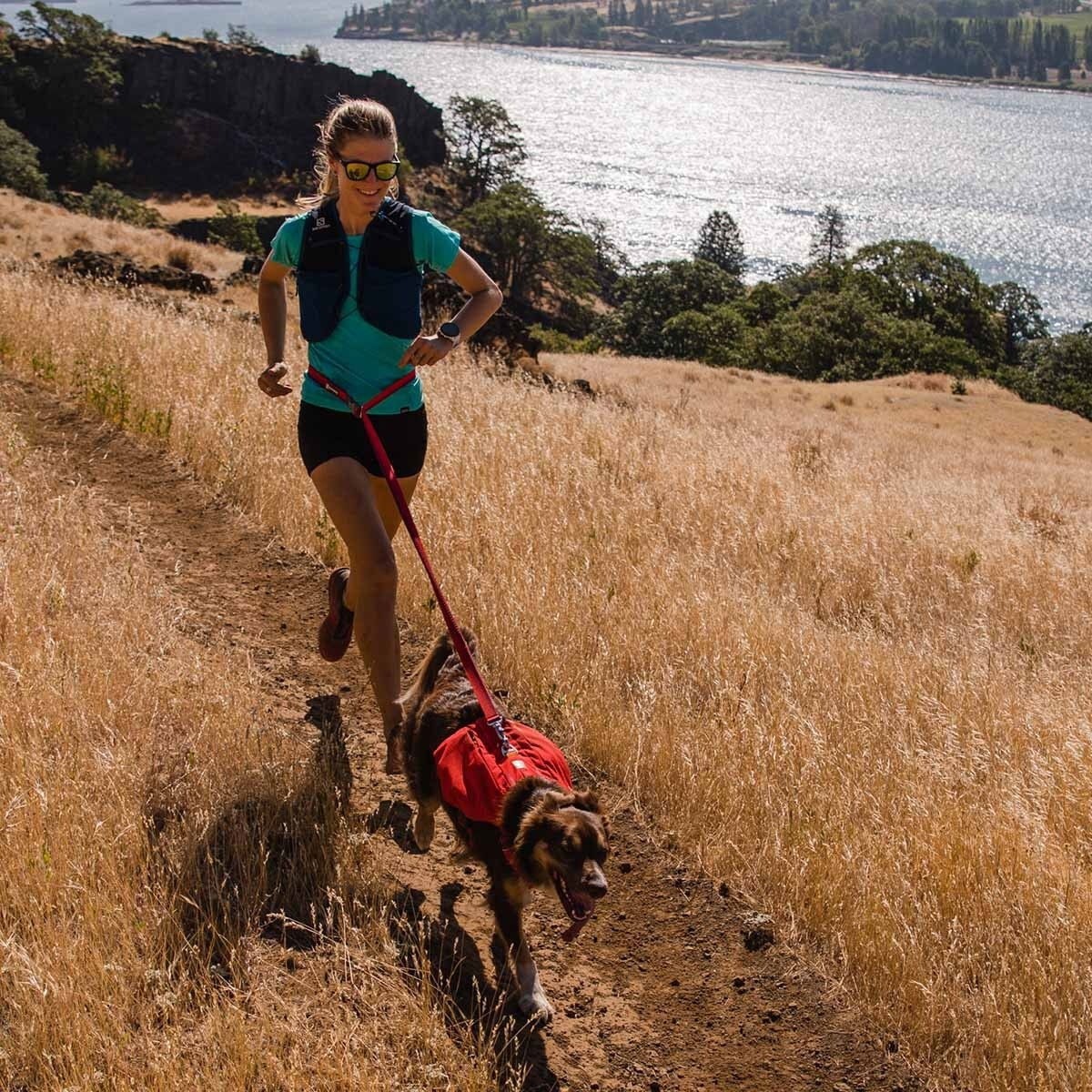 Ruffwear Switchbak -koiran valjaat, punainen