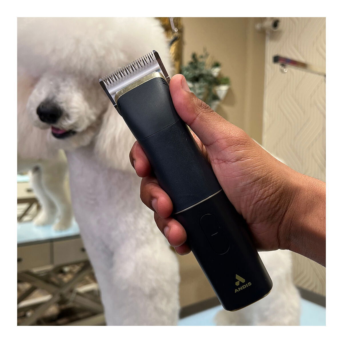 Andis beSPOKE trimmauskone