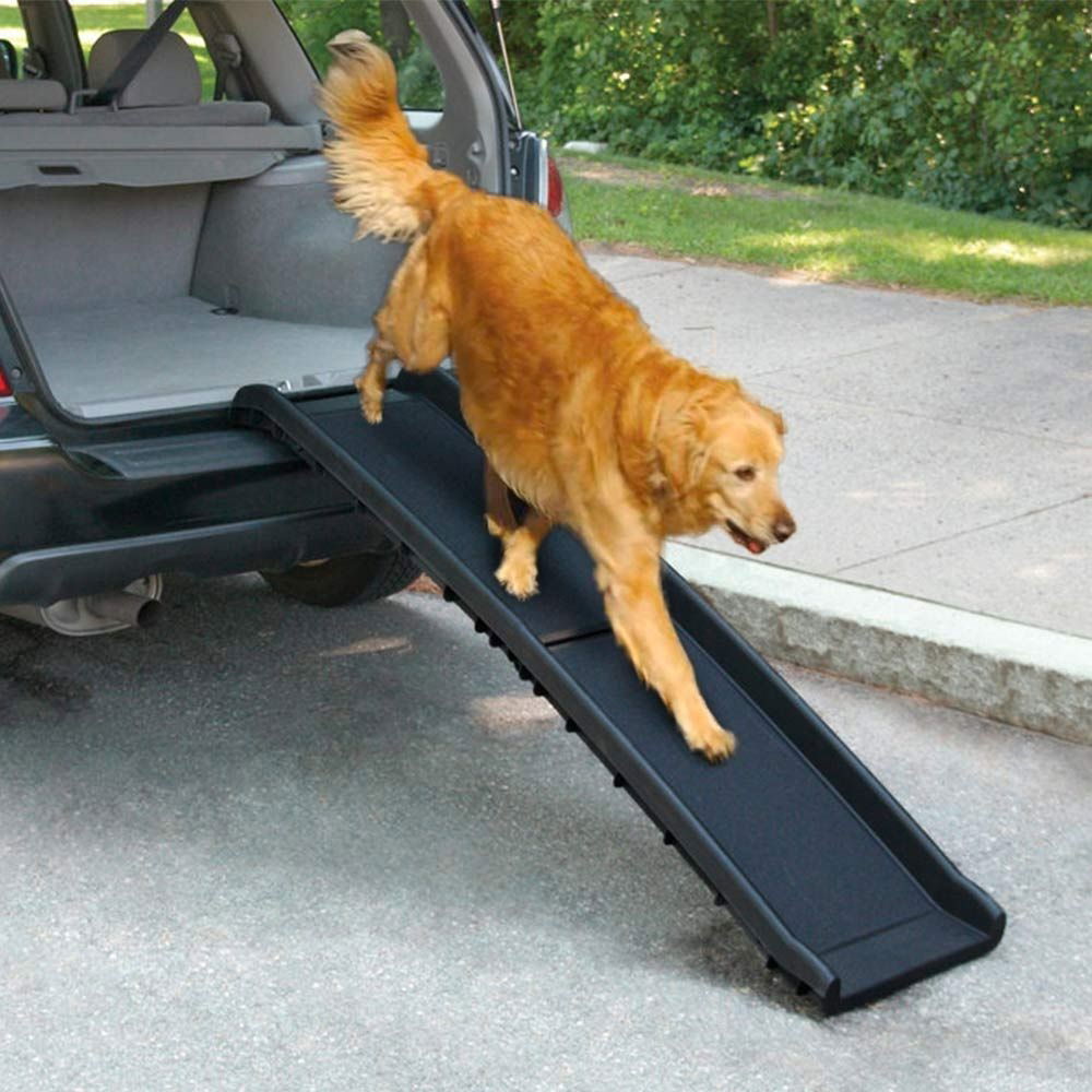 All For Paws Travel Dog autoramppi