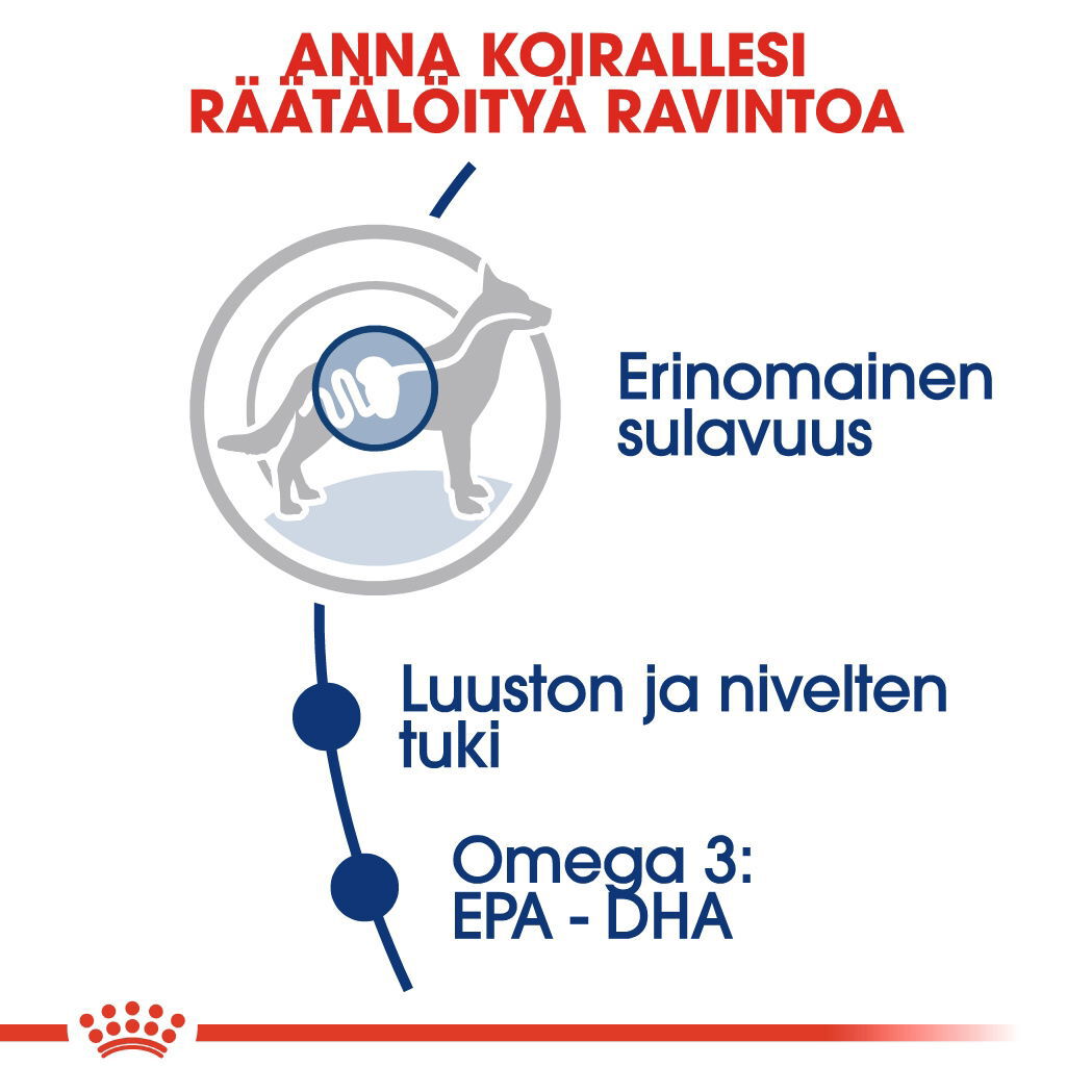 Royal Canin Maxi Adult koiran kuivaruoka