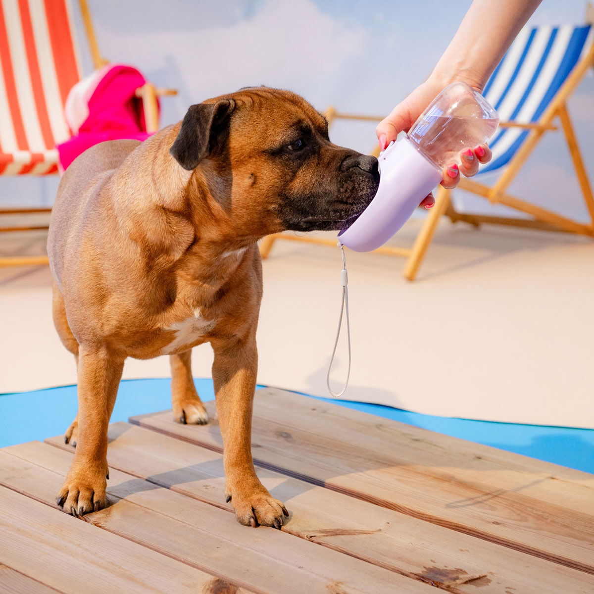 Little&Bigger Voyage vesipullo juomakauhalla liila 300 ml