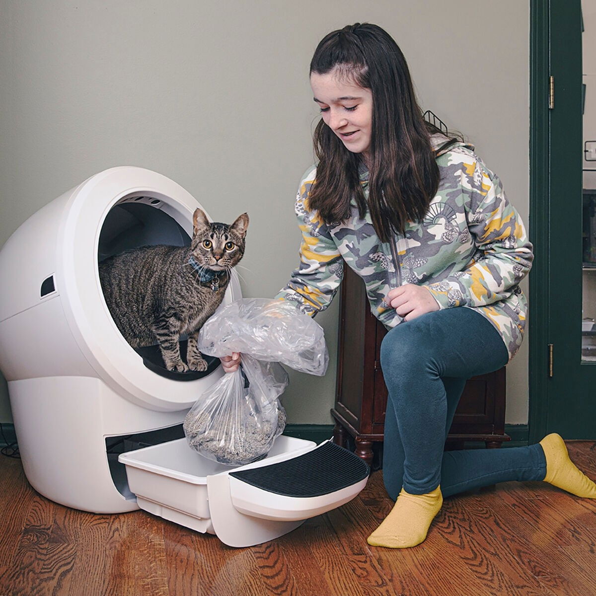 Whisker Litter-Robot 4, white