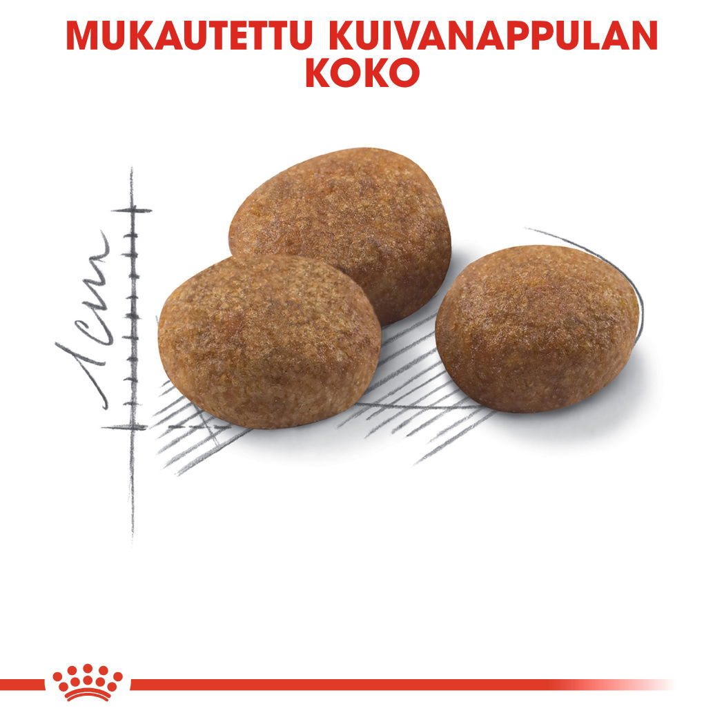Royal Canin Sterilised 7+ Ageing kissan kuivaruoka
