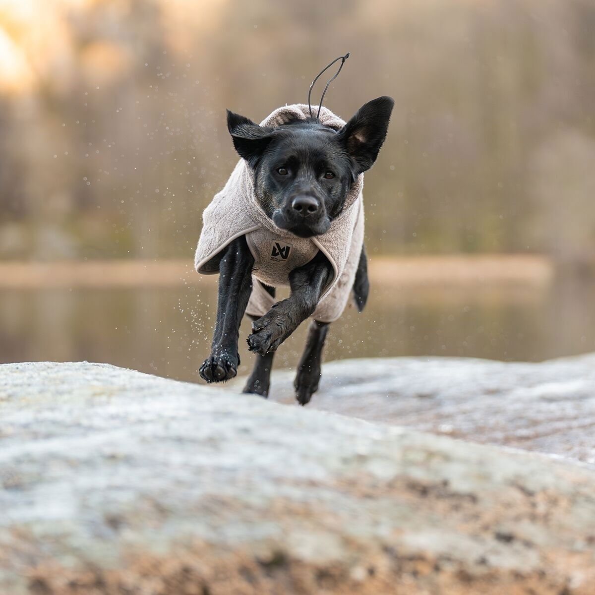 Non-stop dogwear Drying takki hiekka