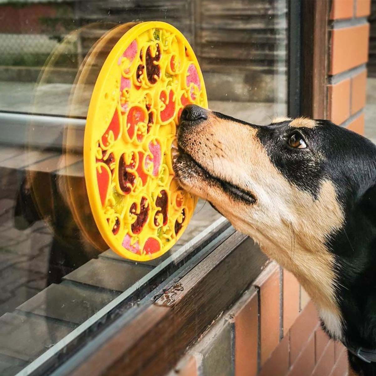 SodaPup Emat Duckies keltainen