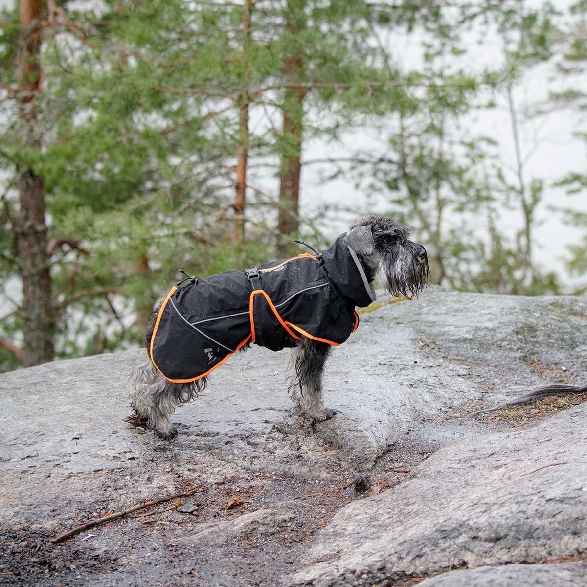 Feel Active Kiruna sadetakki mu