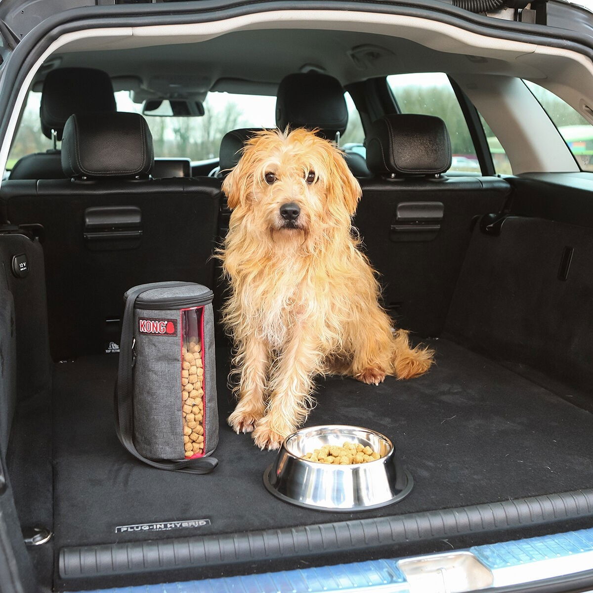 KONG Kibble Storage Bag