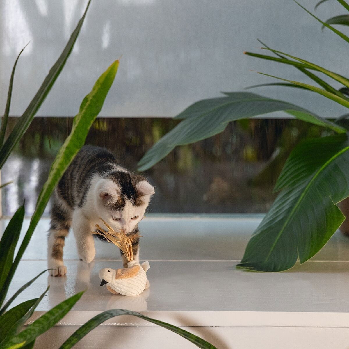 Beeztees Eco Cat Bird Chicho