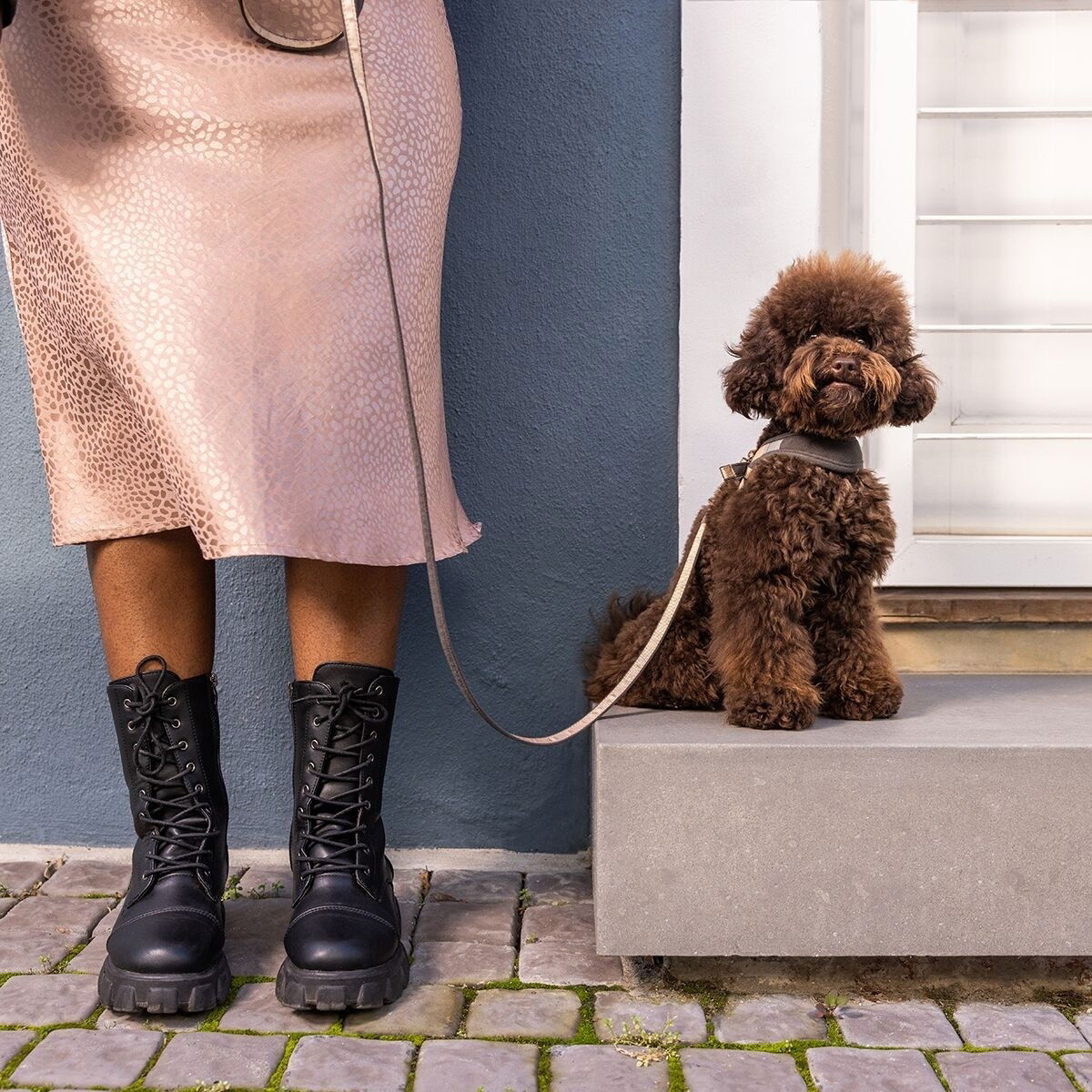 Rogz Urban Fast-Fit harness, gold