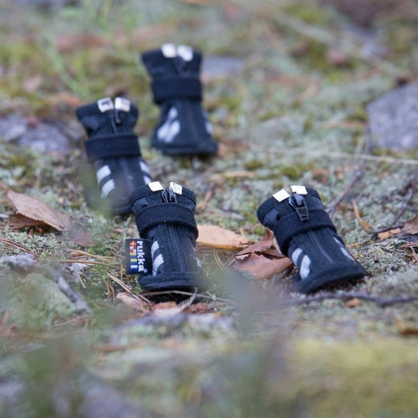 Rukka Step koiran tossut 4 kpl