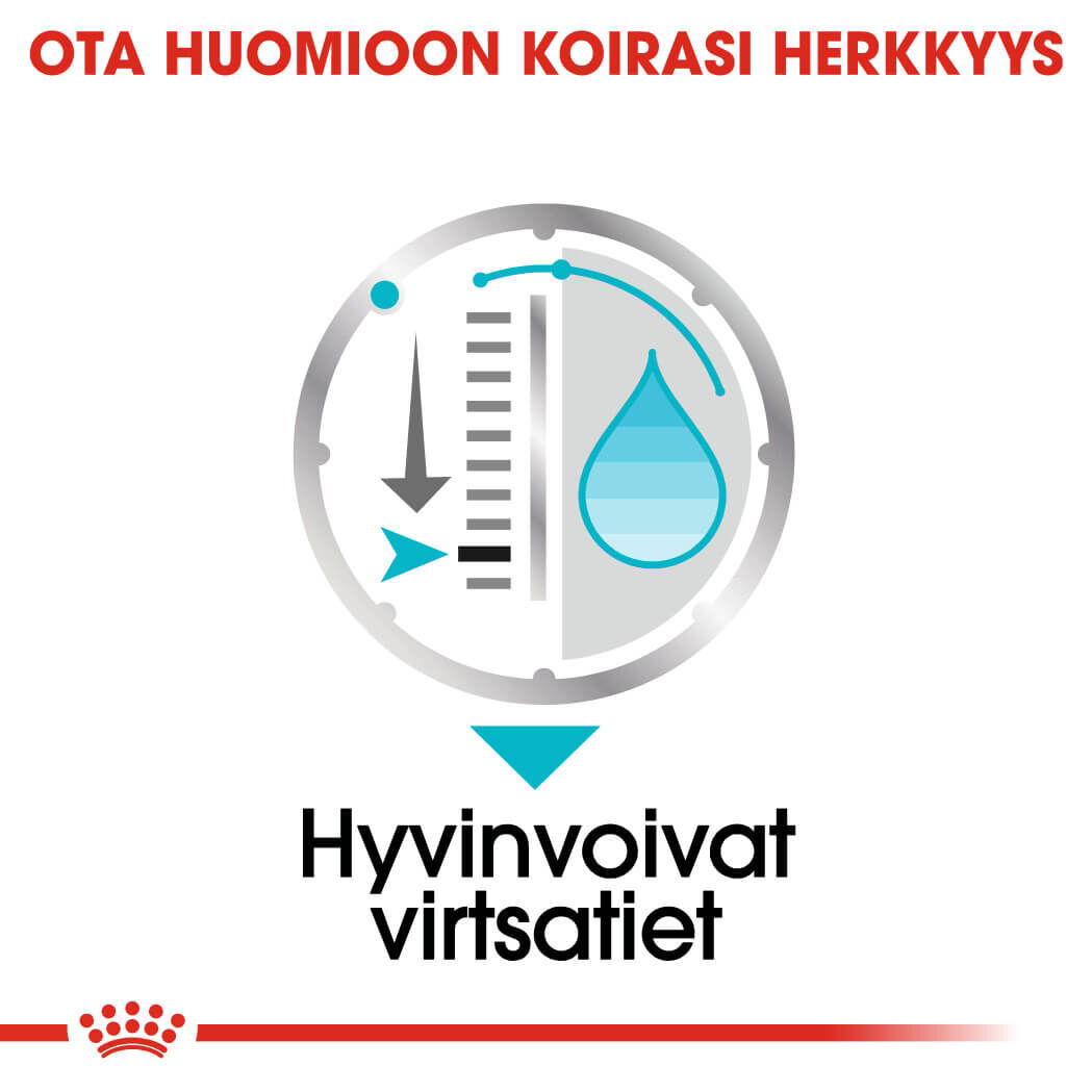 Royal Canin Urinary Care Adult Loaf koiran märkäruoka