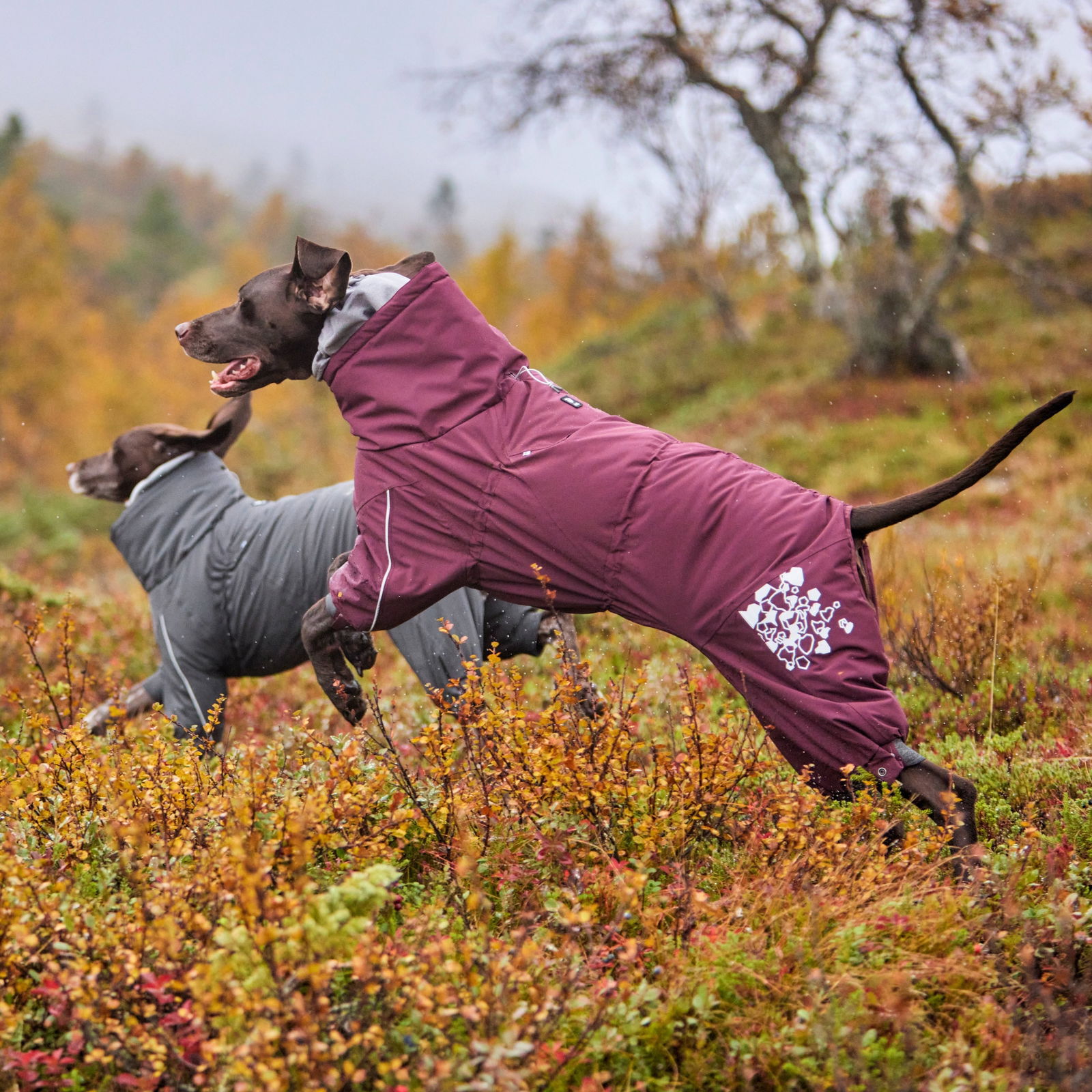 Hurtta Extreme haalari munakoiso