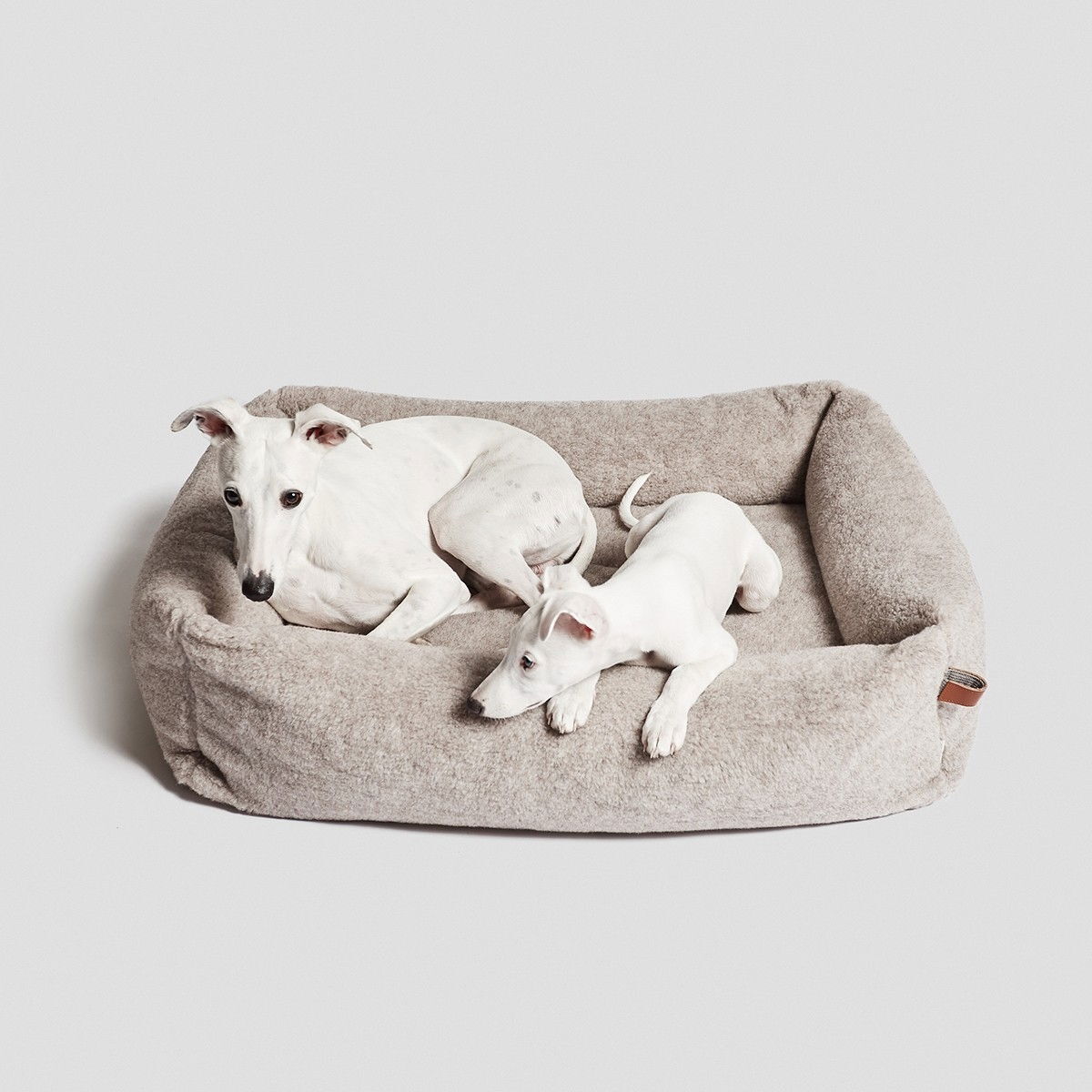 Cloud7 Dog bed sleepy Delxue Teddy