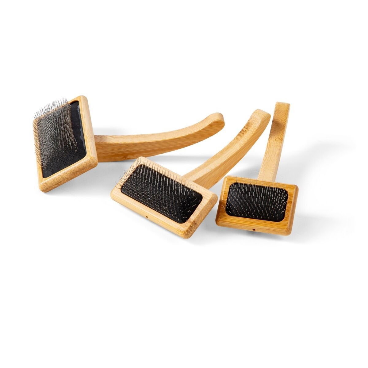 Show Dog Grooming karsta lyhyet piikit 