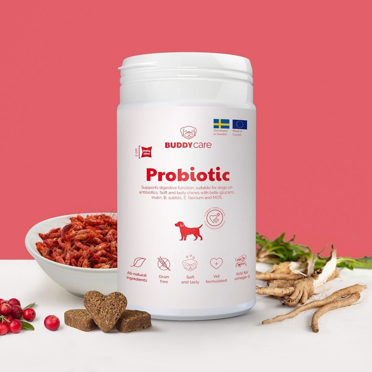 BuddyCare Probiotic 150g