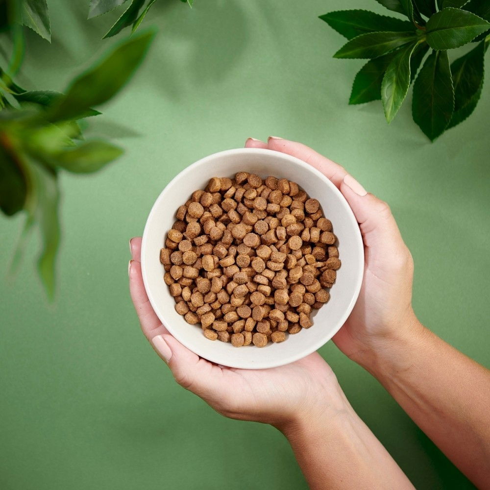 Purenatural Dog Puppy