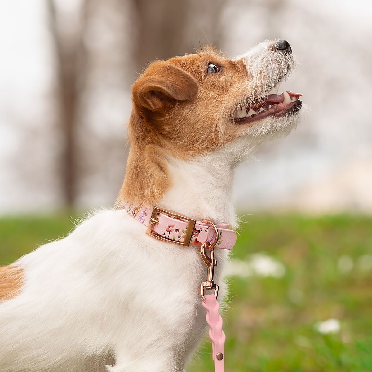 Tyylivoitto Unique collar Floral Fawns