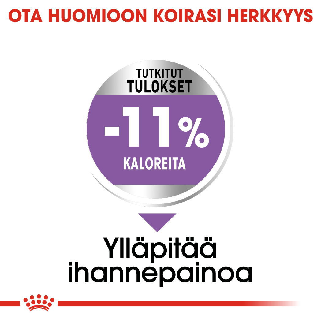 Royal Canin Sterilised X-small Adult koiran kuivaruoka