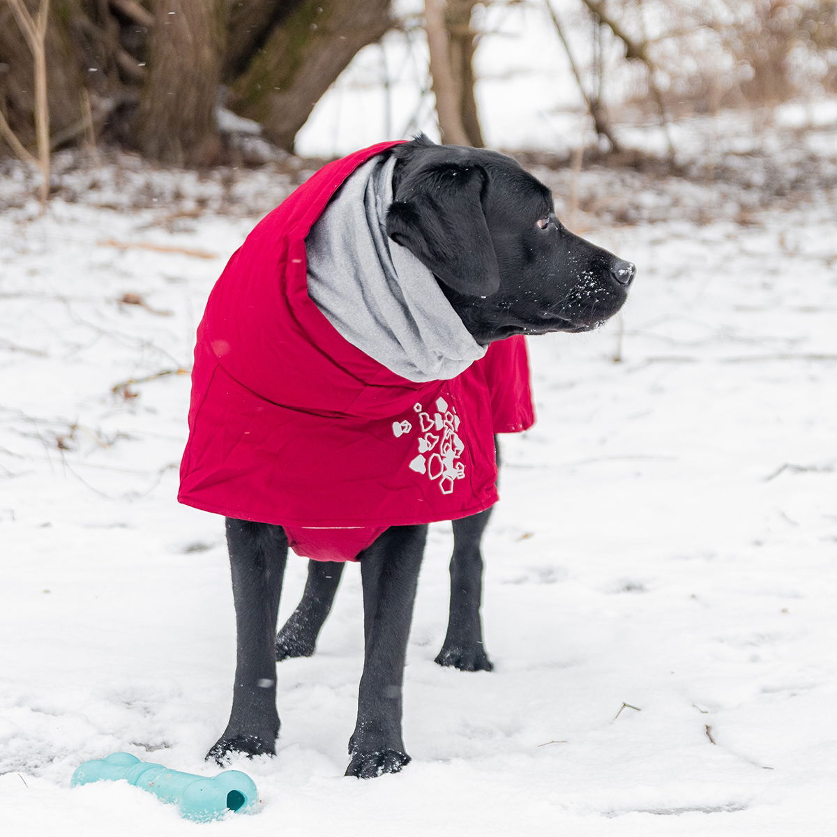 Hurtta Extreme Warmer takki, puolukka