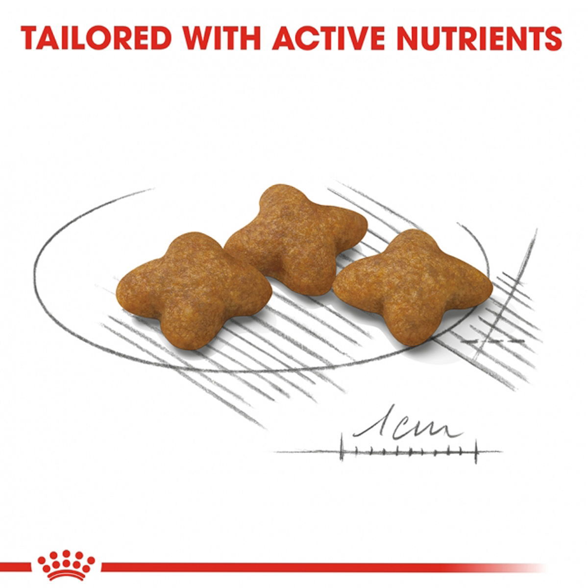 Royal Canin Sterilised X-small Adult koiran kuivaruoka