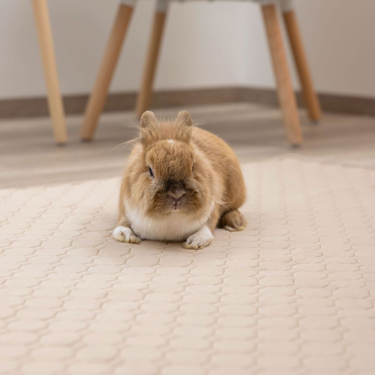 Kerbl Washable Urine Pad 140x100cm