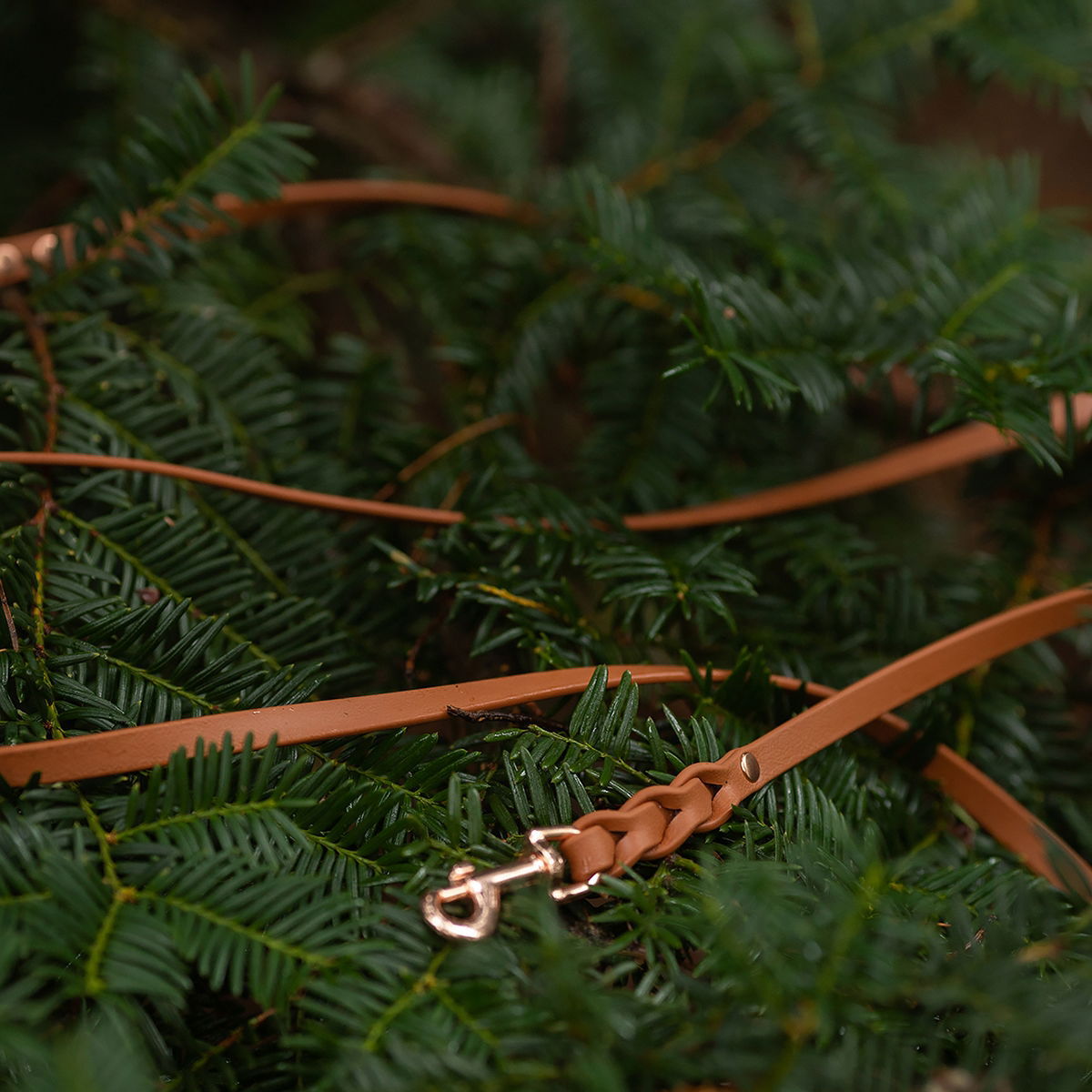 Tyylivoitto Braid leash, cognac