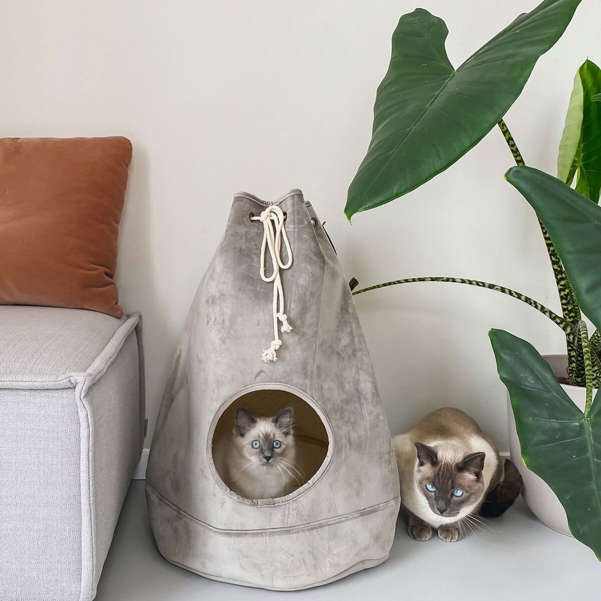 Designed by Lotte Velvet home Vilar