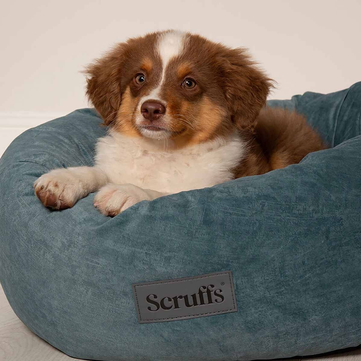 Scruffs Oslo donitsipeti sinivihreä