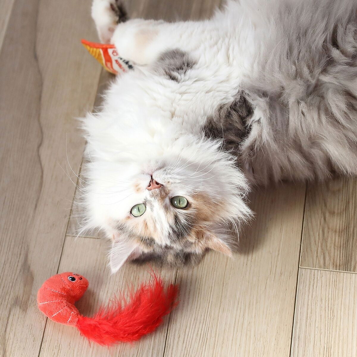 Quirky Kitty RAMEN 2PK 