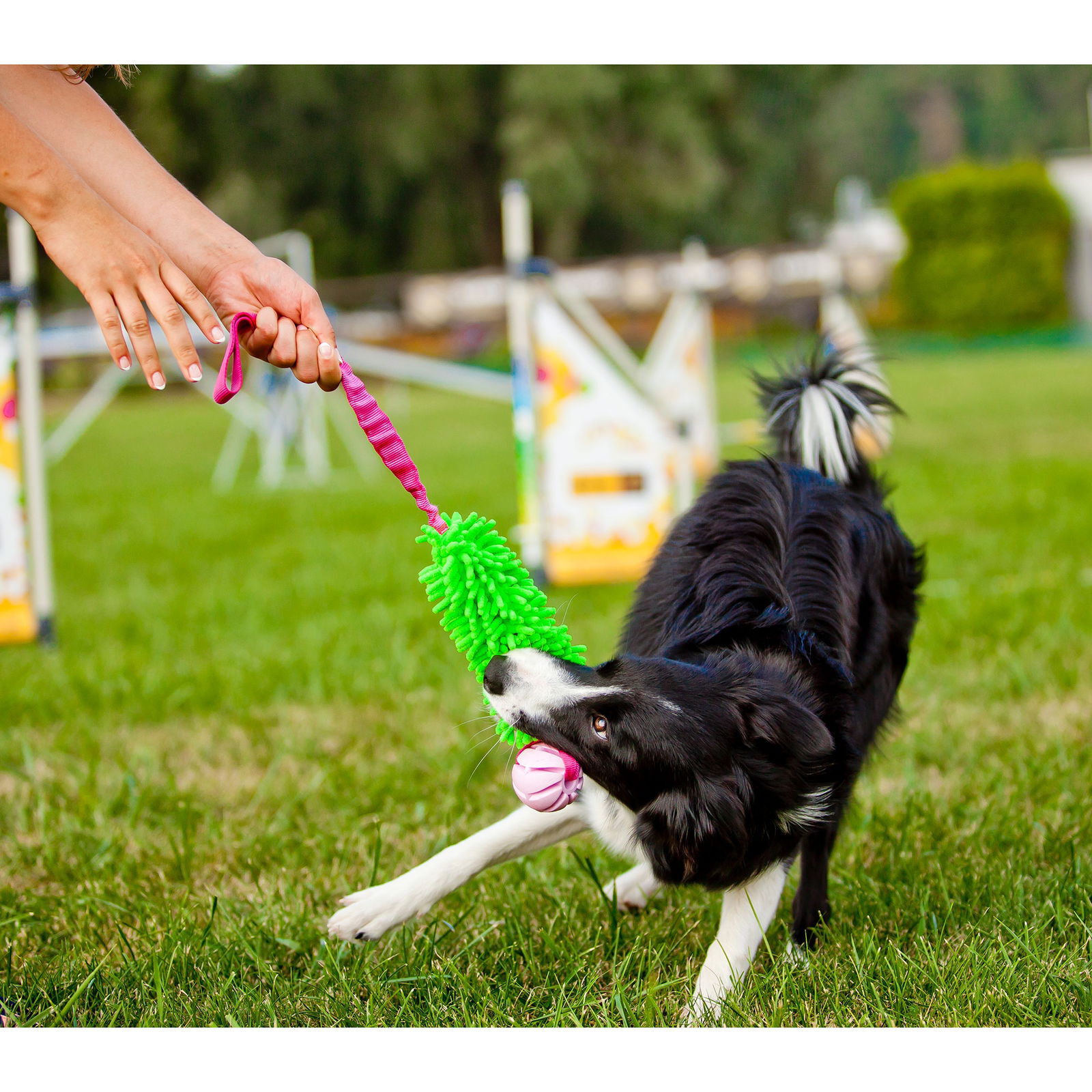 Pro Dog Bungee Mop kumipallo