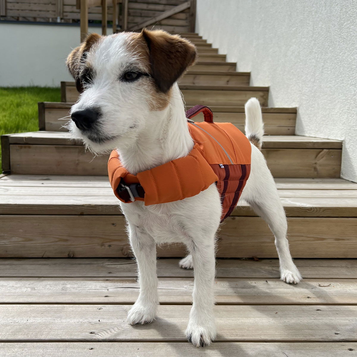 Hurtta Life Savior ECO, buckthorn