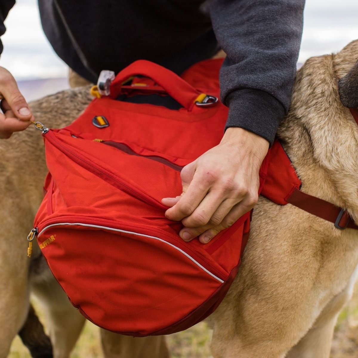 Ruffwear Palisades Pack, Red Sumac