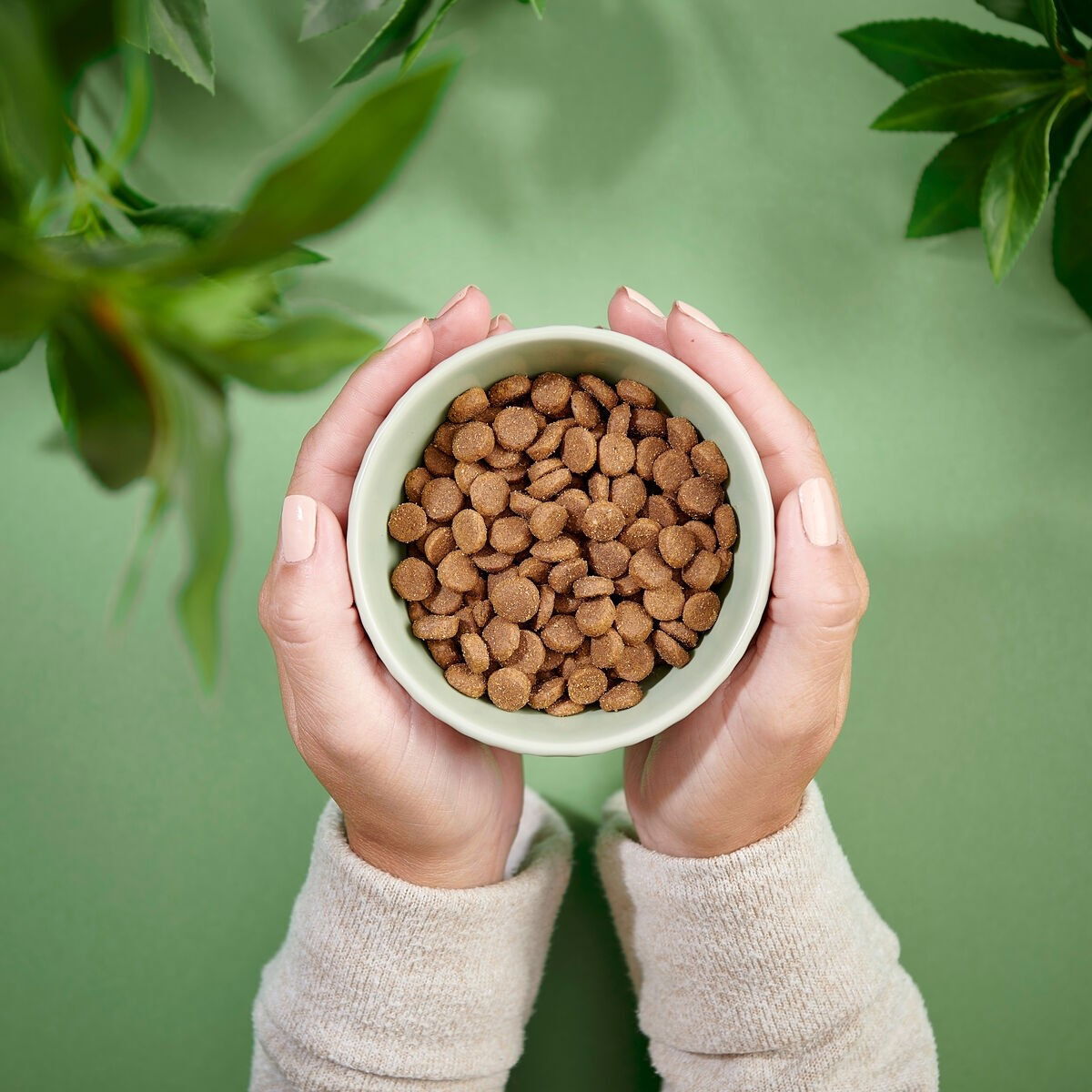 PN Cat Adult GF Turkey & Chicken