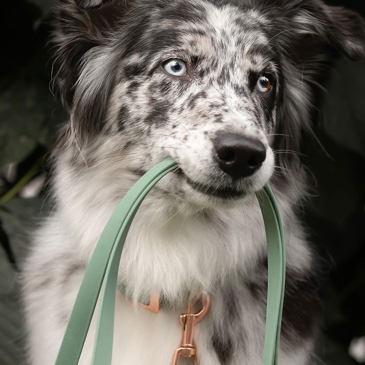 Tyylivoitto Braid hihna, salvia/ruusukulta