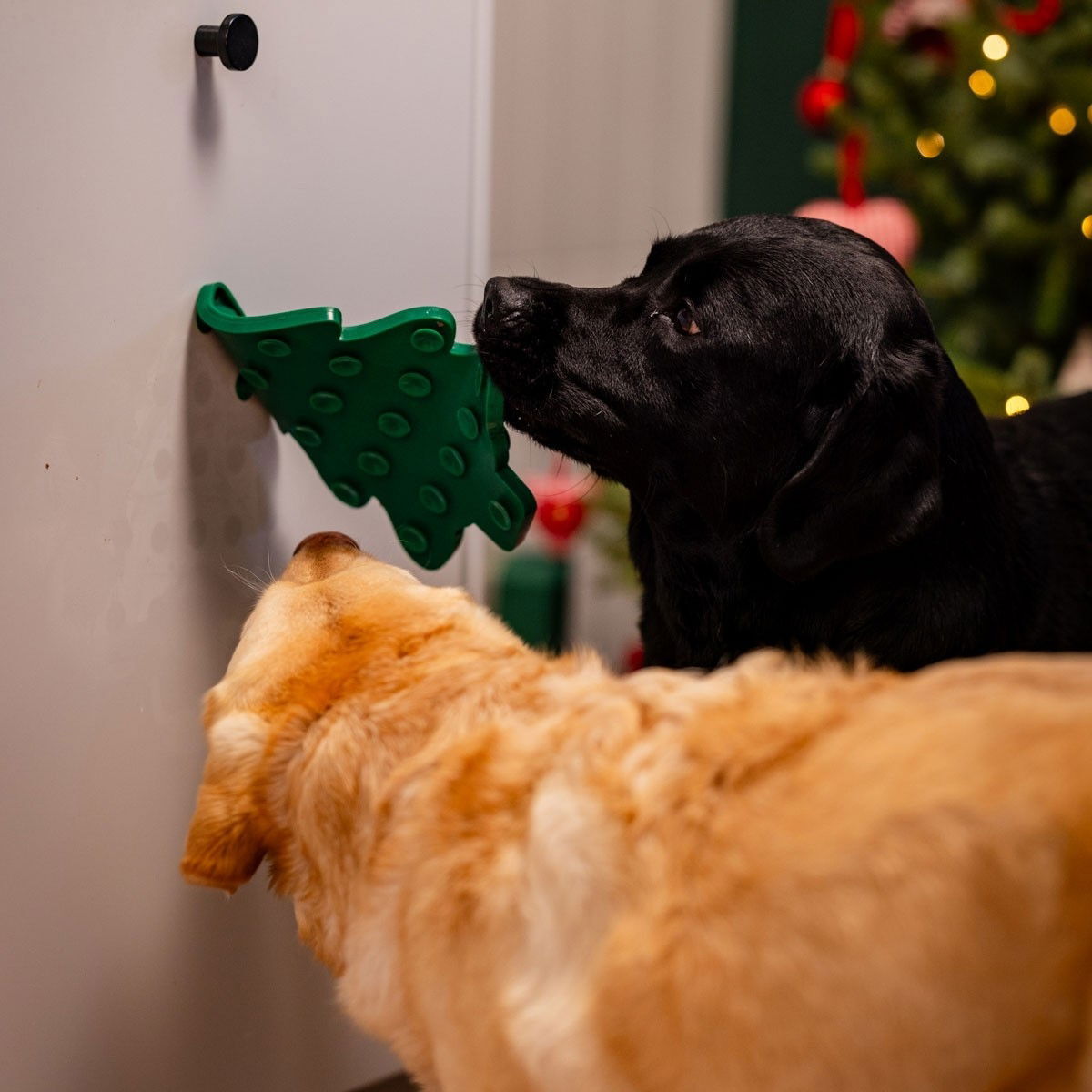 Little&Bigger nuolumatto 2in1 kuusi