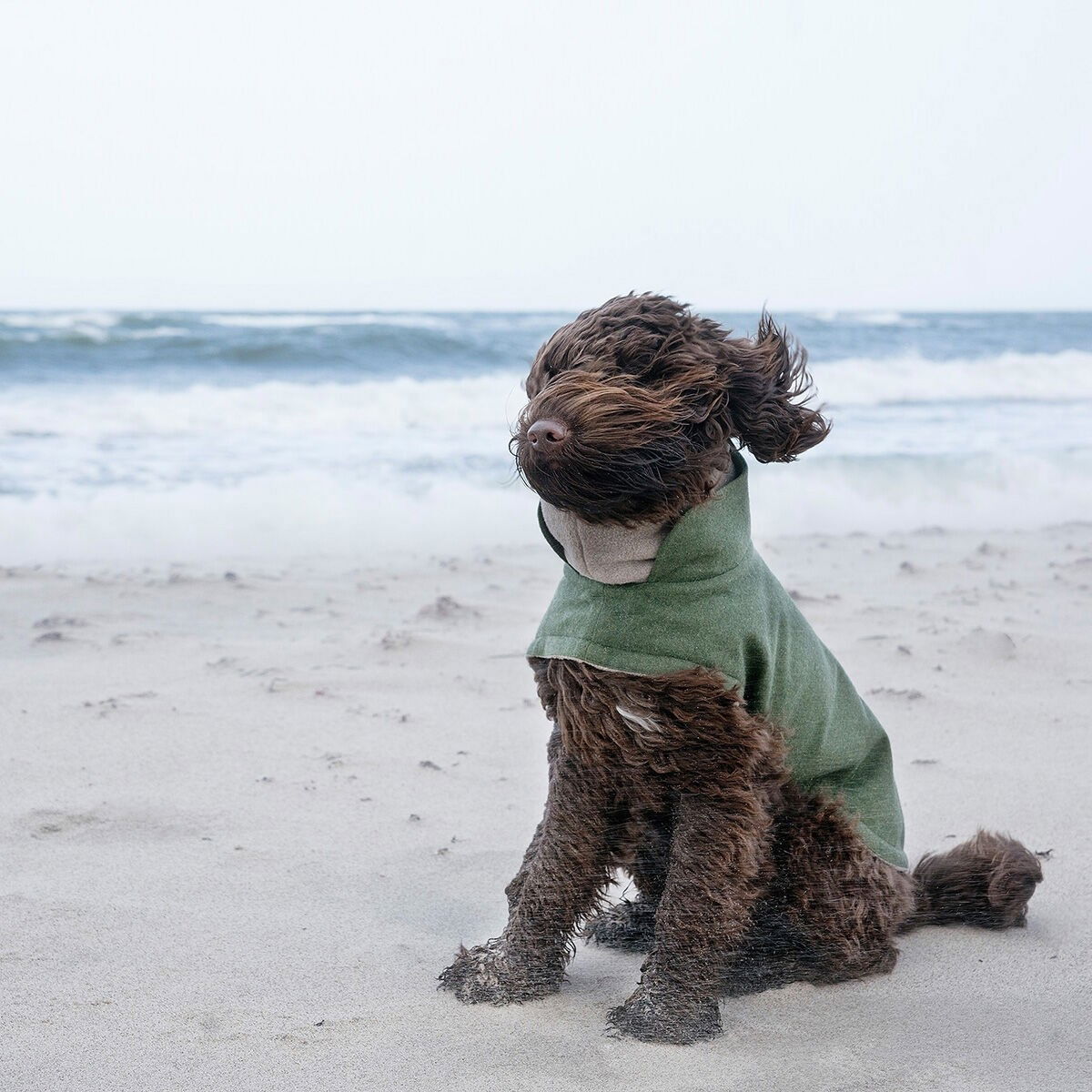 Cloud7 Brooklyn Flannel, Fern Green