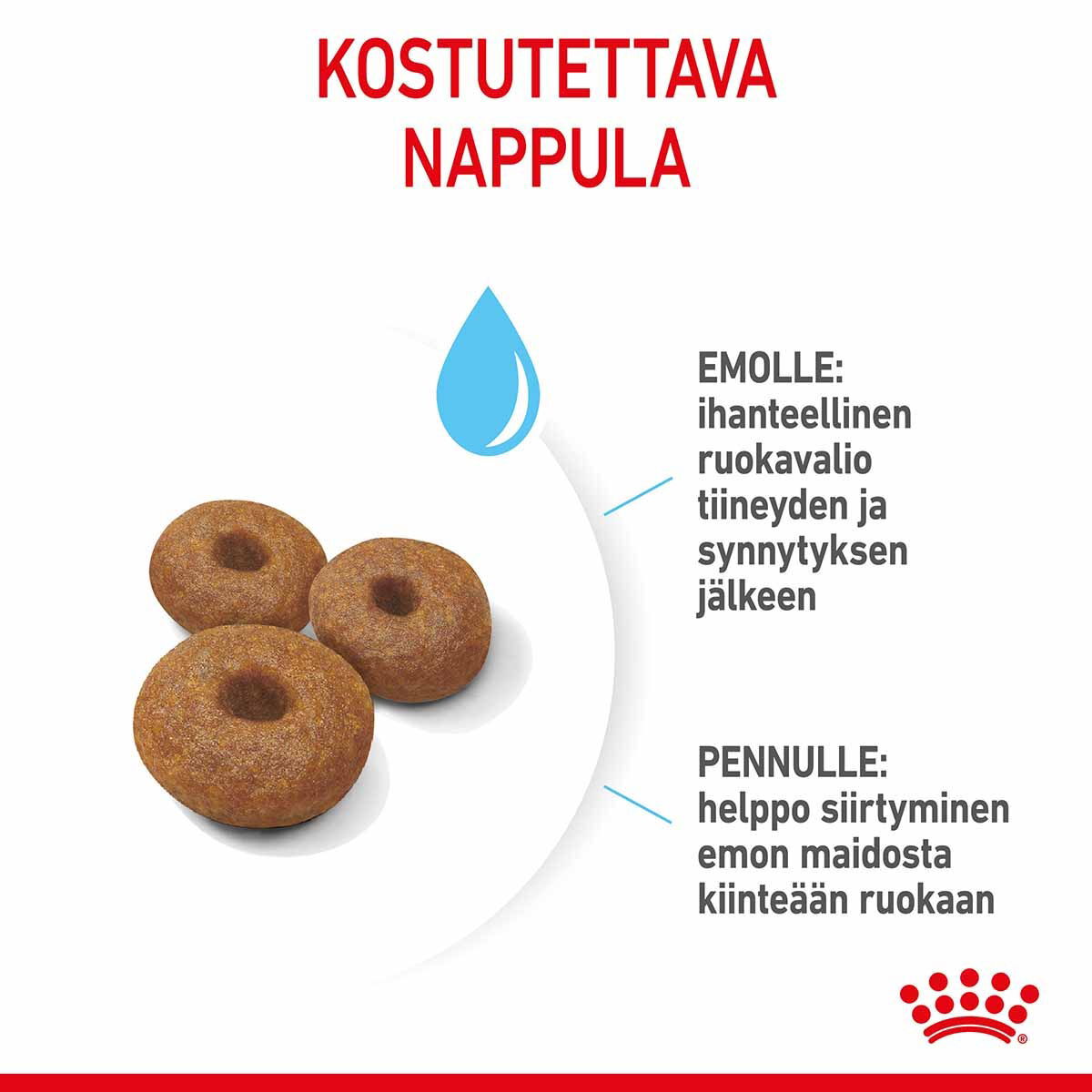 Royal Canin Maxi Starter koiran ja koiranpennun kuivaruoka