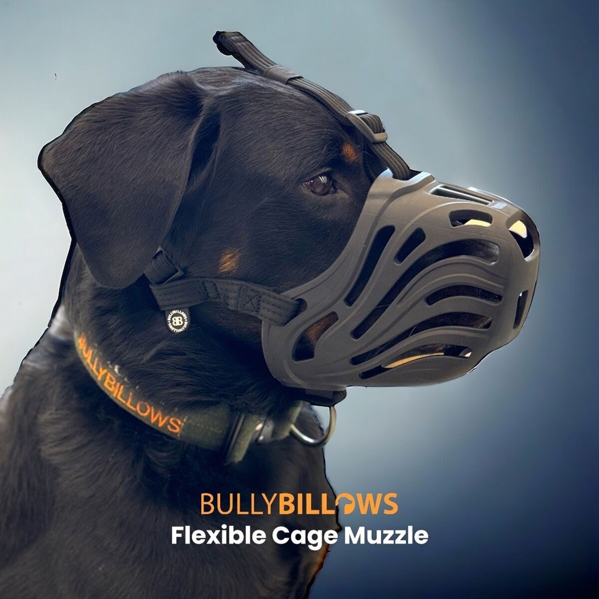 BullyBillows Flexible Muzzle
