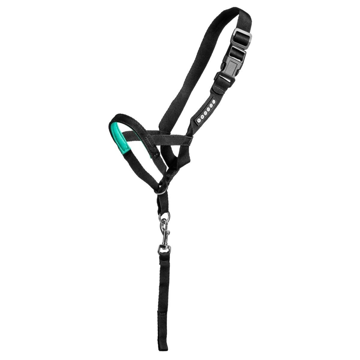 Pro Dog Control Kuonopanta