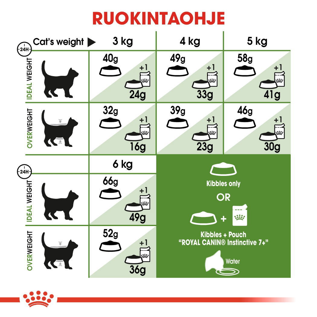 Royal Canin Outdoor 7+ Ageing kissan kuivaruoka