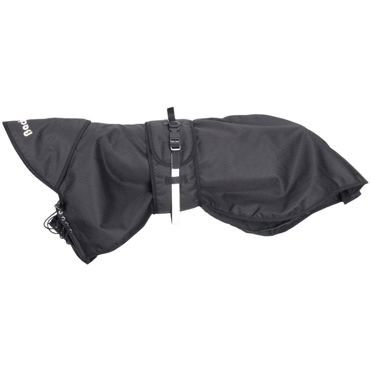 Koiran sadeloimi Back on Track