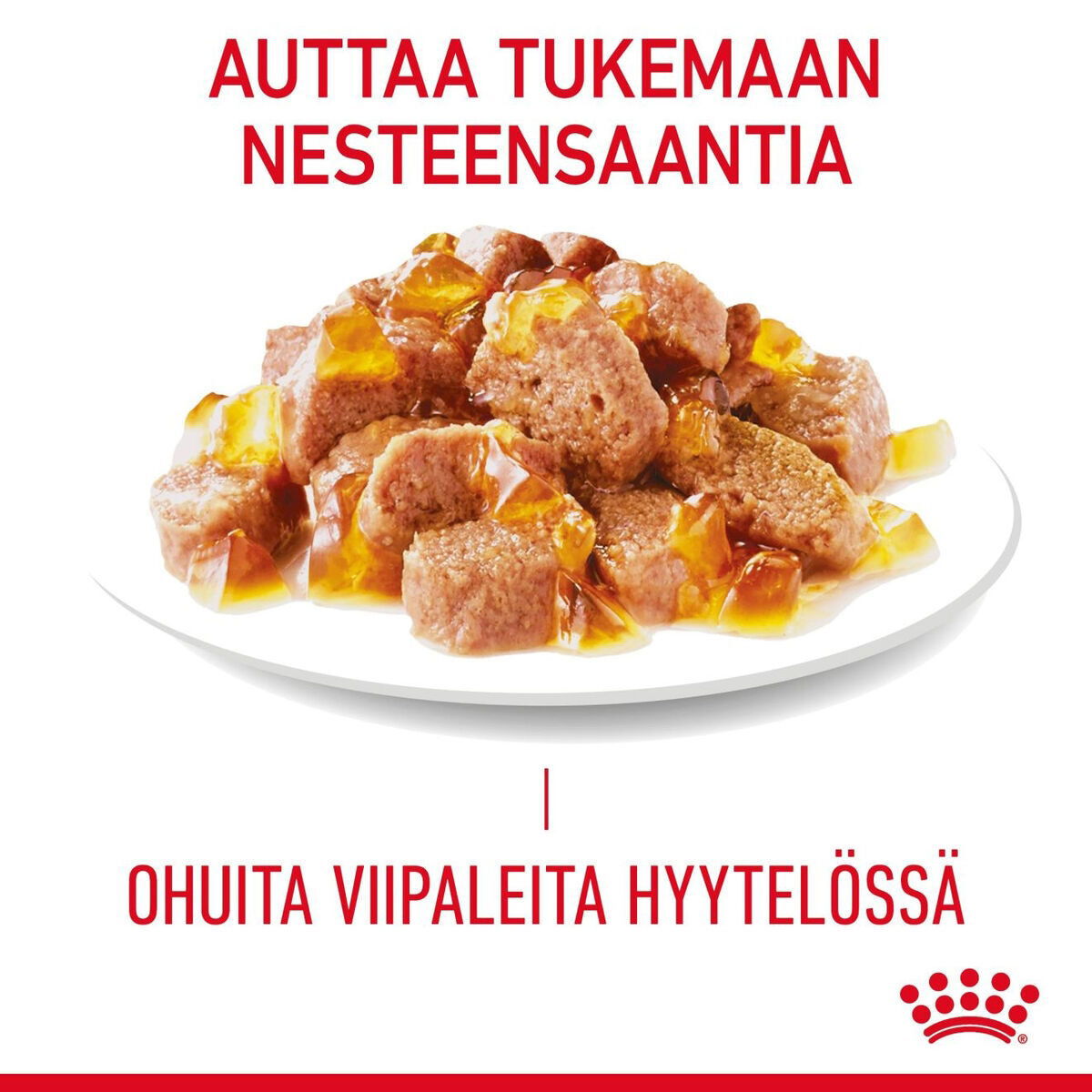 Royal Canin Hair & Skin Care Jelly Adult kissan märkäruoka