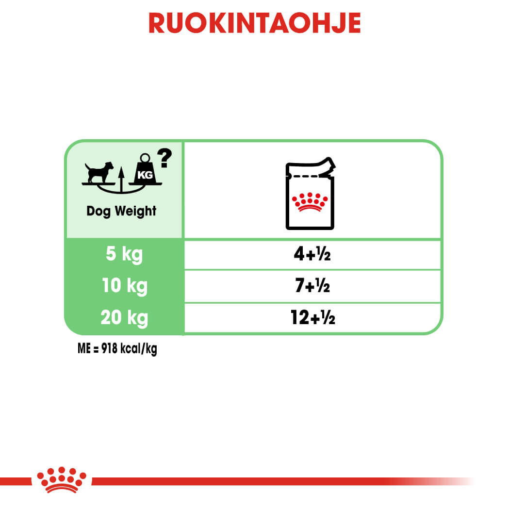 Royal Canin Digestive Care Adult Loaf koiran märkäruoka