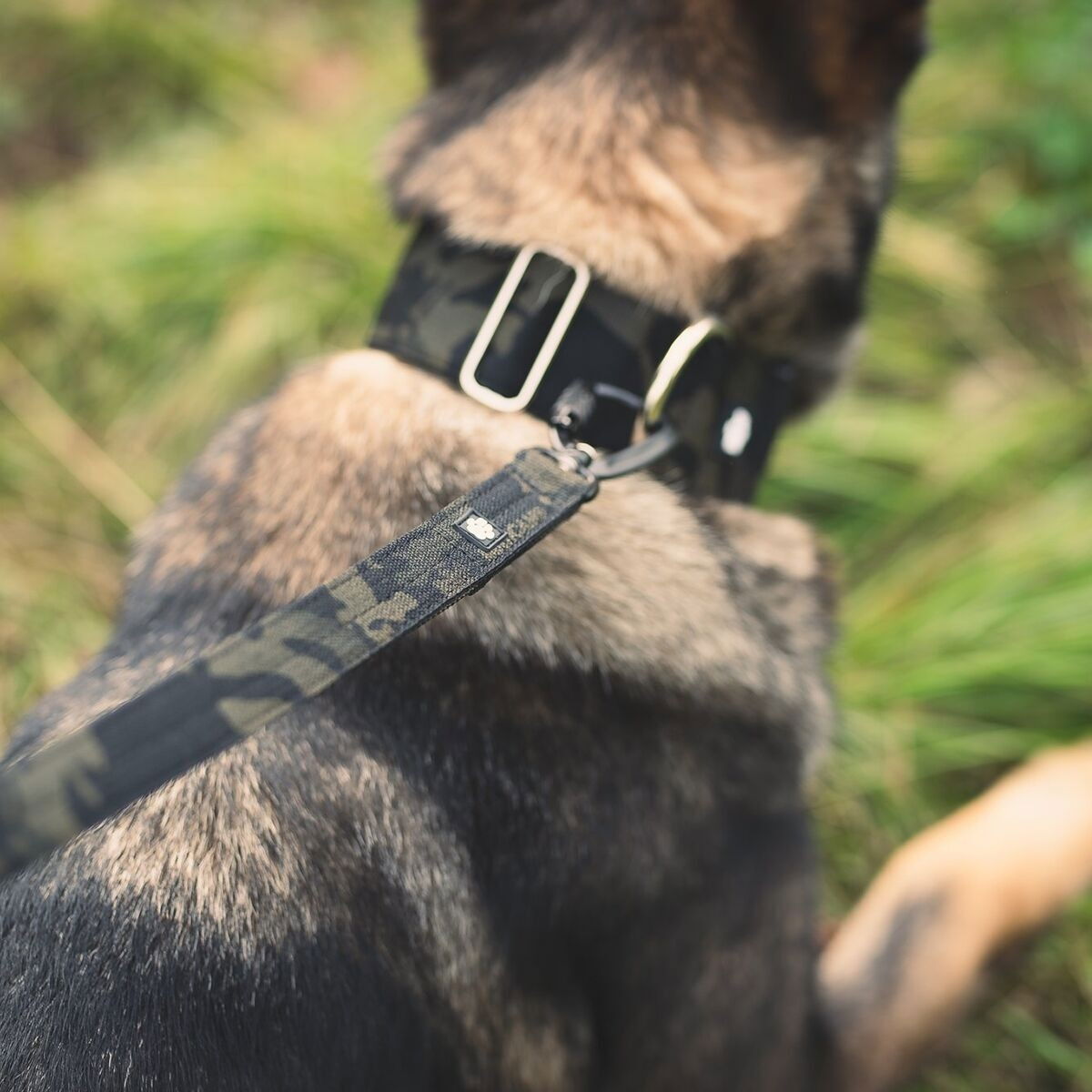 Salmiakkitassu multicam leash with twistlock, 250cm