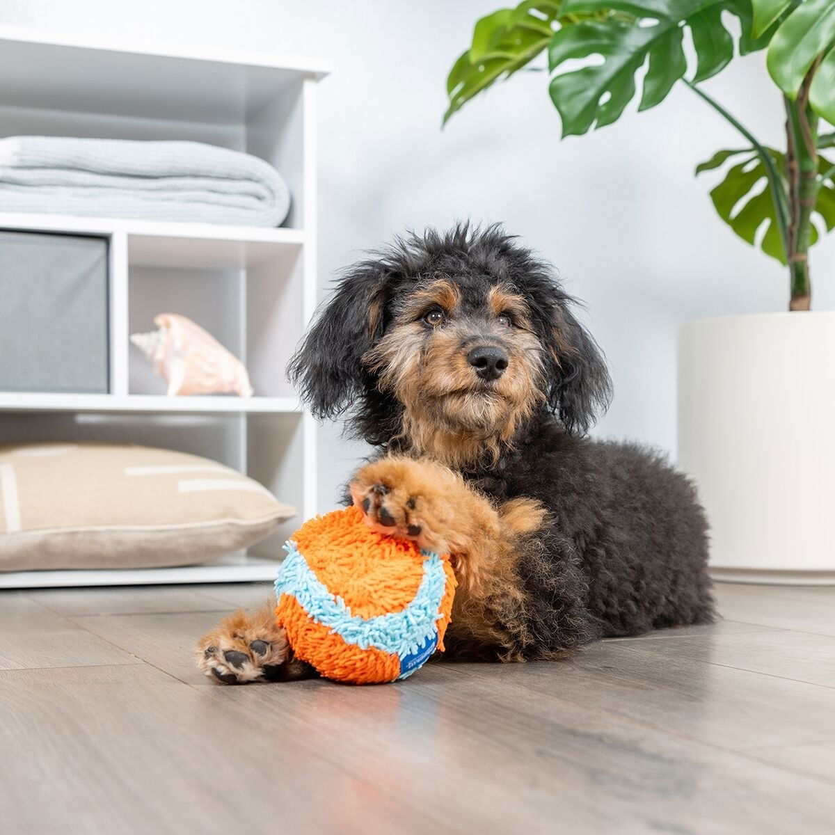 Chuckit Indoor -pallo sisäleikkeihin