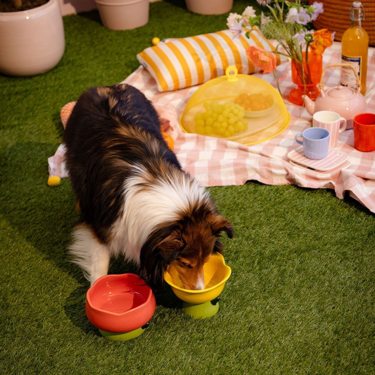 Little&Bigger Blossom korotettu keraaminen kuppi keltainen