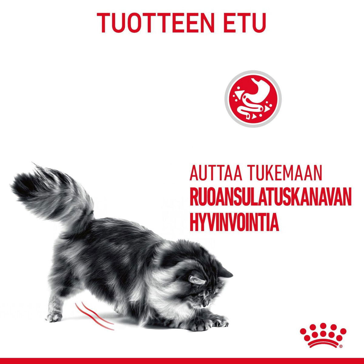 Royal Canin Digestive Care Adult kissan kuivaruoka