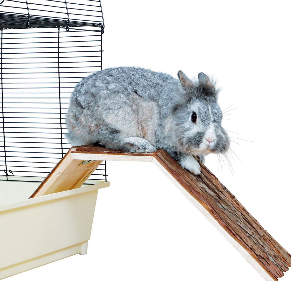 Silta kanille ja marsulle 63x15x18 cm